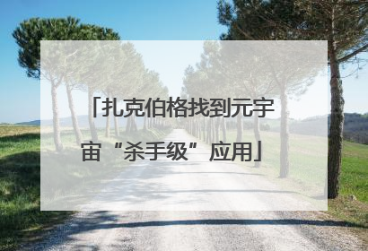 扎克伯格找到元宇宙“杀手级”应用