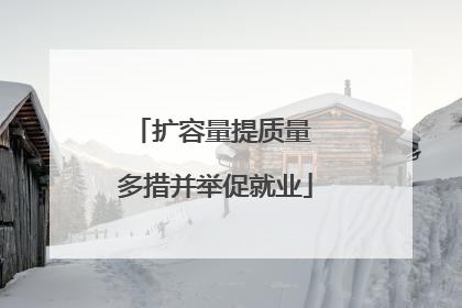 扩容量提质量 多措并举促就业