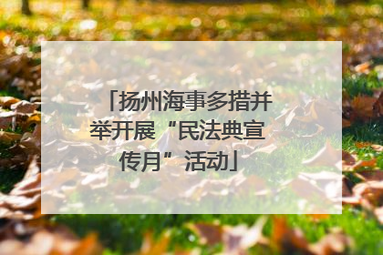 扬州海事多措并举开展“民法典宣传月”活动