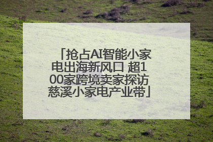 抢占AI智能小家电出海新风口 超100家跨境卖家探访慈溪小家电产业带