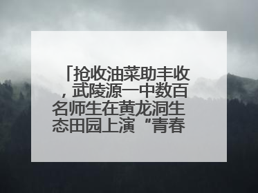 抢收油菜助丰收，武陵源一中数百名师生在黄龙洞生态田园上演“青春助农记”