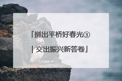 拼出平桥好春光③｜交出振兴新答卷