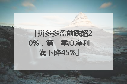 拼多多盘前跌超20%，第一季度净利润下降45%