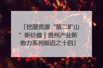 挖潜资源“第二矿山”新价值｜贵州产业新势力系列报道之十四