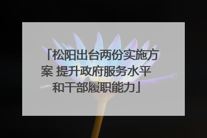 松阳出台两份实施方案 提升政府服务水平和干部履职能力