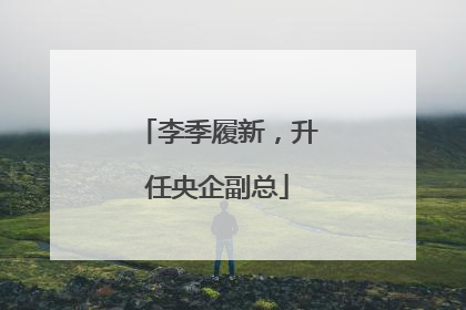 李季履新，升任央企副总