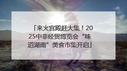 来火宫殿赶大集！2025中非经贸博览会“味道湖南”美食市集开启