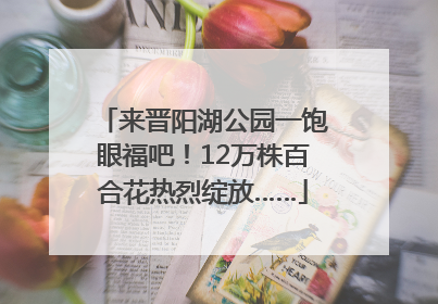 来晋阳湖公园一饱眼福吧！12万株百合花热烈绽放……