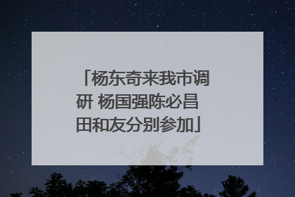 杨东奇来我市调研 杨国强陈必昌田和友分别参加