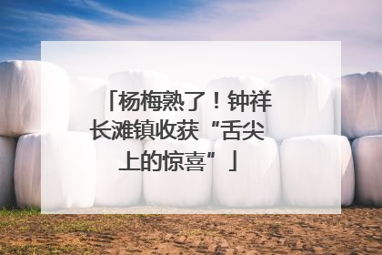 杨梅熟了！钟祥长滩镇收获“舌尖上的惊喜”