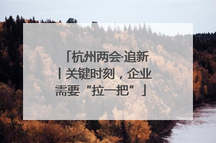 杭州两会·追新丨关键时刻，企业需要“拉一把”