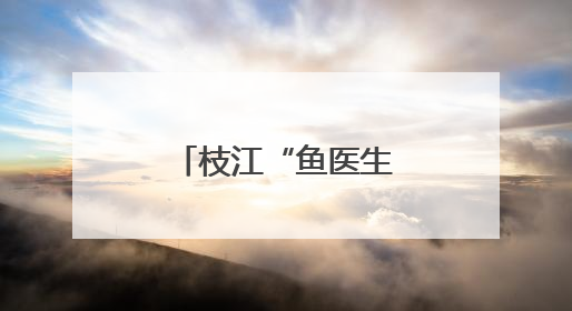 枝江“鱼医生”，点赞！