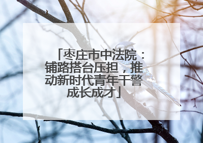 枣庄市中法院：铺路搭台压担，推动新时代青年干警成长成才