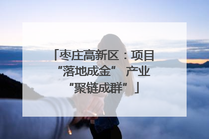 枣庄高新区：项目“落地成金” 产业“聚链成群”