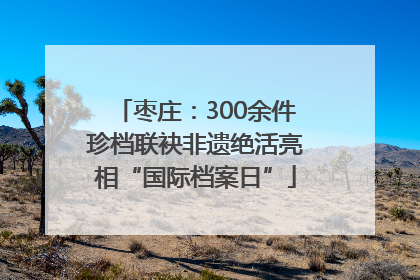 枣庄：300余件珍档联袂非遗绝活亮相“国际档案日”