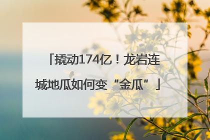撬动174亿！龙岩连城地瓜如何变“金瓜”