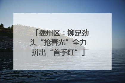 播州区：铆足劲头“抢春光”全力拼出“首季红”