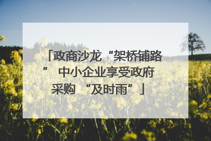 政商沙龙“架桥铺路” 中小企业享受政府采购 “及时雨”