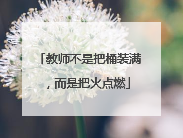教师不是把桶装满，而是把火点燃