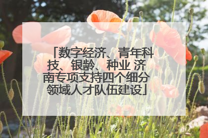数字经济、青年科技、银龄、种业 济南专项支持四个细分领域人才队伍建设