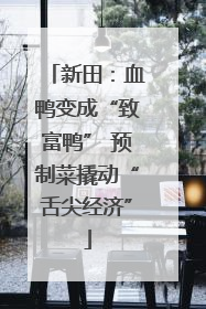 新田：血鸭变成“致富鸭” 预制菜撬动“舌尖经济”