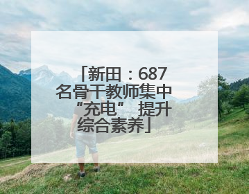 新田：687名骨干教师集中“充电” 提升综合素养