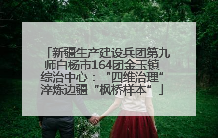 新疆生产建设兵团第九师白杨市164团金玉镇综治中心：“四维治理”淬炼边疆“枫桥样本”