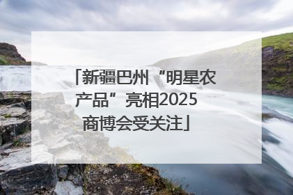 新疆巴州“明星农产品”亮相2025商博会受关注