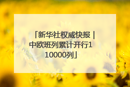 新华社权威快报｜中欧班列累计开行110000列