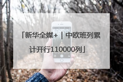 新华全媒+｜中欧班列累计开行110000列