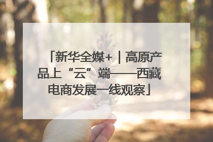 新华全媒+｜高原产品上“云”端——西藏电商发展一线观察