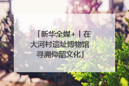 新华全媒+丨在大河村遗址博物馆寻溯仰韶文化