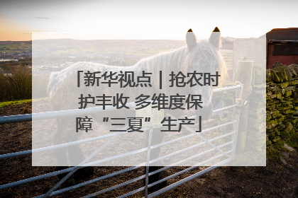 新华视点｜抢农时 护丰收 多维度保障“三夏”生产
