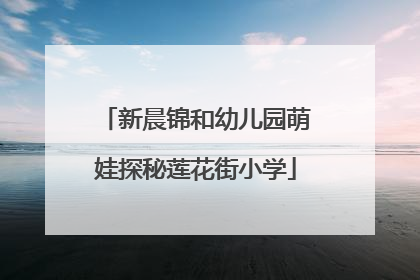 新晨锦和幼儿园萌娃探秘莲花街小学