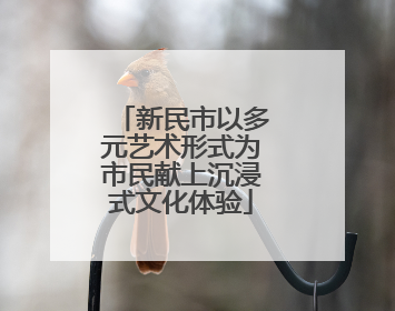 新民市以多元艺术形式为市民献上沉浸式文化体验