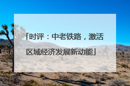 时评：中老铁路，激活区域经济发展新动能