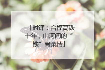 时评：合福高铁十年，山河间的“铁”骨柔情