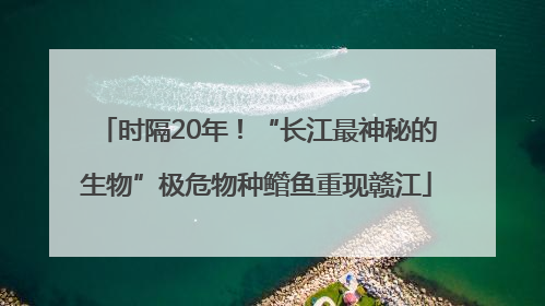 时隔20年！“长江最神秘的生物”极危物种鳤鱼重现赣江