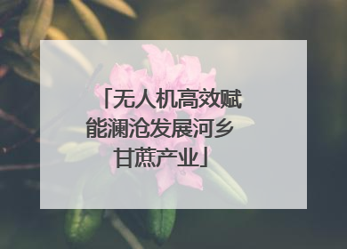 无人机高效赋能澜沧发展河乡甘蔗产业