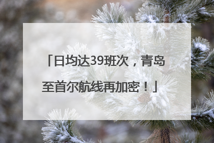 日均达39班次，青岛至首尔航线再加密！