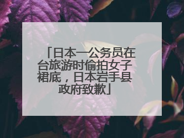 日本一公务员在台旅游时偷拍女子裙底，日本岩手县政府致歉