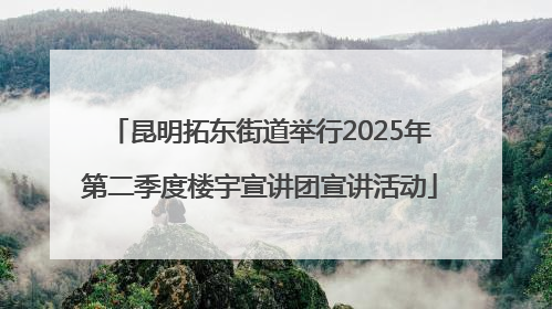 昆明拓东街道举行2025年第二季度楼宇宣讲团宣讲活动