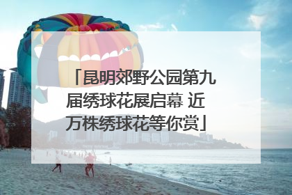 昆明郊野公园第九届绣球花展启幕 近万株绣球花等你赏