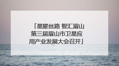 星耀丝路 智汇眉山 第三届眉山市卫星应用产业发展大会召开