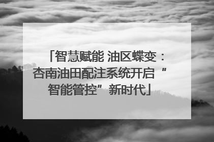 智慧赋能 油区蝶变：杏南油田配注系统开启“智能管控”新时代