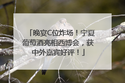 晚宴C位炸场！宁夏葡萄酒亮相西博会，获中外嘉宾好评！