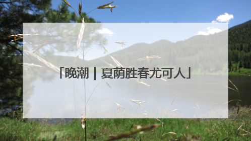 晚潮｜夏荫胜春尤可人