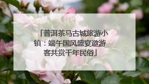 普洱茶马古城旅游小镇：端午国风盛宴邀游客共赏千年民俗