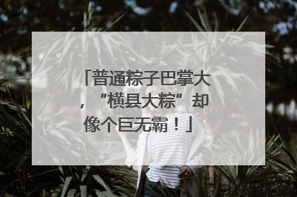 普通粽子巴掌大，“横县大粽”却像个巨无霸！