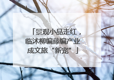景观小品走红，临沭柳编藤编产业成文旅“新宠”